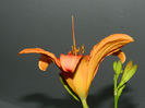 DSCN4582