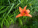 DSCN4584