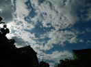 DSCN4594