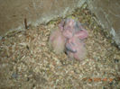 Picture 074