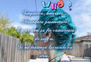 Camila->ghicit de specialLoganLerman