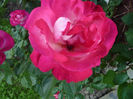 P1020976