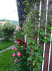 P1030001