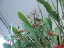 012_14 iunie _2013