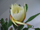 031- 17-iunie -2013