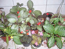 P1050728