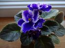 DSC01819
