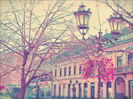 castle-photography-pink-place-vintage-Favim.com-104744