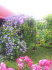 20130613_125720