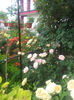 20130613_125737