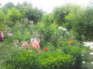 20130613_125805