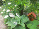 20130613_125909