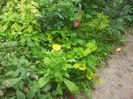 20130613_125916