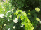20130613_125957