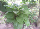 20130613_130012