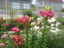 20130613_130032