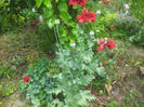 20130613_130058