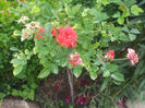 20130613_130119