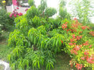 20130613_130251