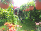 20130613_130345