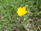 DSCN1931