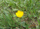 DSCN1932