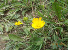 DSCN1933
