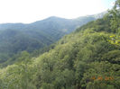 DSCN1941