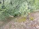 DSCN1943