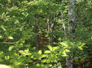DSCN1947