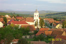 100_8222