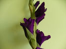 P1450142