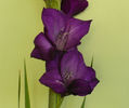 P1450164