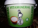 vitaminerale