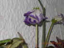 027