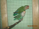 DSCN0085