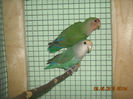 DSCN0086