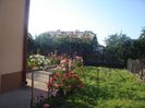 DSC03416
