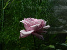 DSCN3174