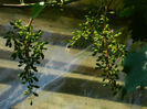DSCN3181