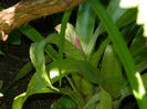 DSCN3182
