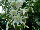 DSCN3304