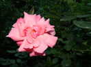 DSCN3363