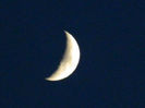 DSCN3366