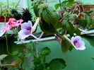 DSCN3628