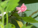 DSCN3629