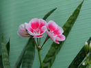 DSCN3637
