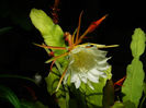 DSCN3640