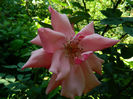 DSCN3657