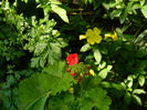 DSCN3669